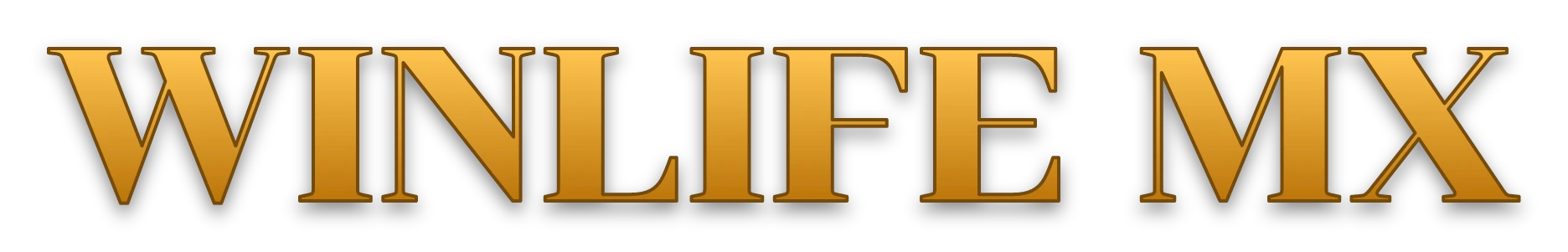WINLIFE MX logo
